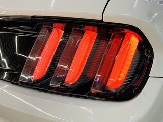 2019 Ford Mustang 5.0 GT A/T - photo 2