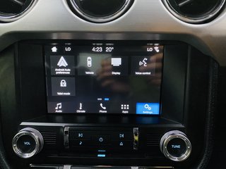 2019 Ford Mustang 5.0 GT A/T - photo 11