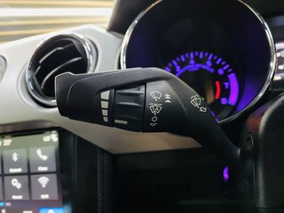 2019 Ford Mustang 5.0 GT A/T - photo 15