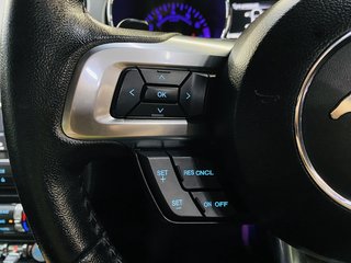 2019 Ford Mustang 5.0 GT A/T - photo 16