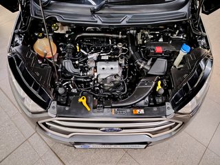 2022 Ford EcoSport 1.0 ECOBOOST TREND A/T - photo 22