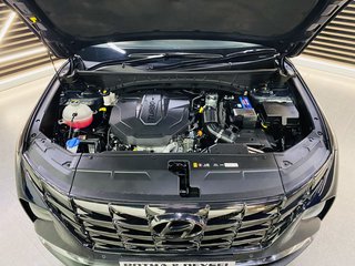 2023 Hyundai TUCSON R2.0D ELITE A/T - photo 4