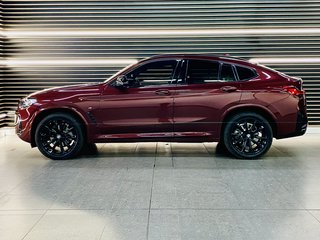 2022 BMW X4 xDRIVE 20d M-SPORT (G02) - photo 6