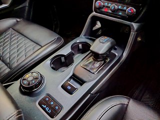 2024 Ford Everest 3.0D V6 PLATINUM AWD A/T - photo 3