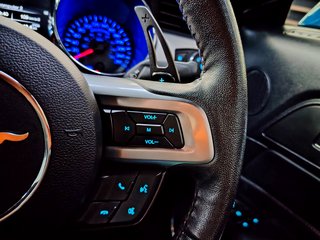 2019 Ford Mustang 5.0 GT A/T - photo 10