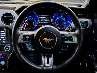 2019 Ford Mustang 5.0 GT A/T - photo 15