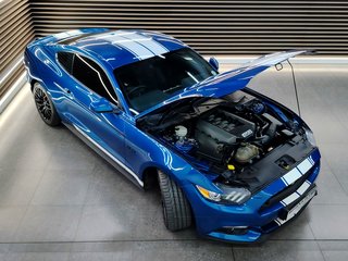 2019 Ford Mustang 5.0 GT A/T - photo 24