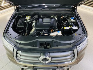 2023 Gwm Steed P-SERIES 2.0TD LT A/T D/C P/U - photo 5