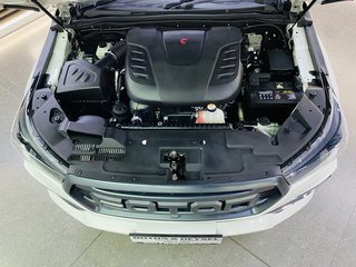 2024 Foton Tunland 2.0T G7 WORKHORSE P/U S/C - photo 5