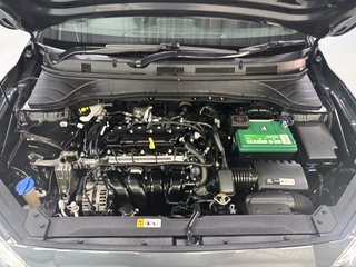 2020 Hyundai KONA 2.0 EXECUTIVE A/T - photo 2