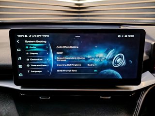 2022 Haval H6 2.0T SUPER LUXURY 4X4 DCT - photo 6