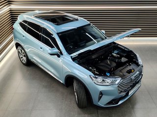 2022 Haval H6 2.0T SUPER LUXURY 4X4 DCT - photo 24