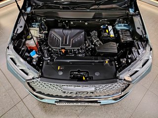 2022 Haval H6 2.0T SUPER LUXURY 4X4 DCT - photo 25