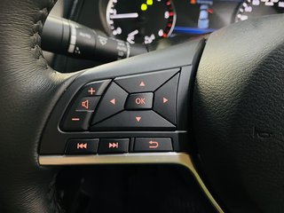 2025 Nissan Navara 2.5DDTI PRO-2X A/T D/C P/U - photo 17