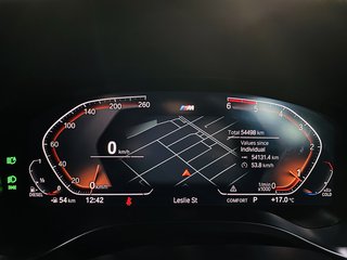 2023 BMW X4 xDRIVE 20d M-SPORT (G02) - photo 19