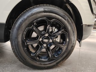 2022 Ford EcoSport 1.5TiVCT AMBIENTE A/T - photo 8