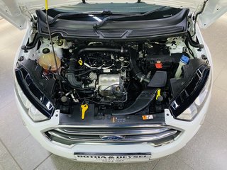 2019 Ford EcoSport 1.0 ECOBOOST TITANIUM - photo 5