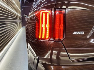 2022 Kia Sorento 2.2D SXL AWD A/T - photo 4