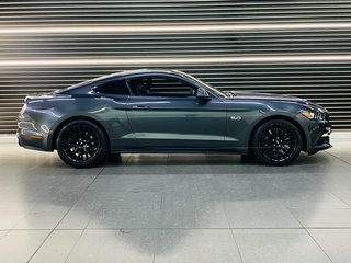 2017 Ford Mustang 5.0 GT A/T - photo 1