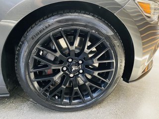 2017 Ford Mustang 5.0 GT A/T - photo 7