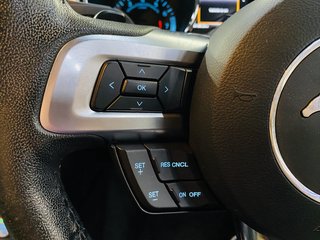 2017 Ford Mustang 5.0 GT A/T - photo 14