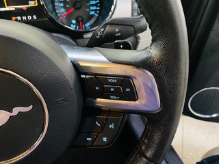 2017 Ford Mustang 5.0 GT A/T - photo 16