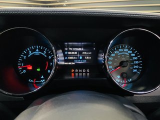 2017 Ford Mustang 5.0 GT A/T - photo 18