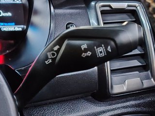 2021 Ford Ranger 2.0D BI-TURBO WILDTRAK 4X4 A/T P/U D/C - photo 9