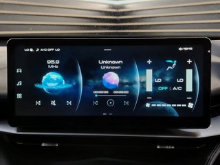 2023 Haval H6 2.0T LUXURY 4X4 DCT - photo 2