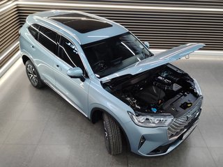 2023 Haval H6 2.0T LUXURY 4X4 DCT - photo 25