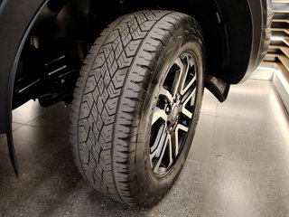 2023 Ford Ranger 2.0D XLT HR A/T D/C P/U - photo 10