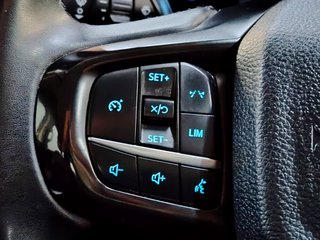 2023 Ford Ranger 2.0D XLT HR A/T D/C P/U - photo 10