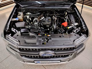 2023 Ford Ranger 2.0D XLT HR A/T D/C P/U - photo 21