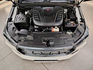 2024 Foton Tunland 2.0T G7 WORKHORSE P/U S/C - photo 16