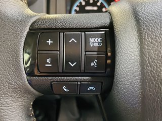 2026 Toyota Land Cruiser LAND CRUISER 79 2.8 GD-6 P/U D/C A/T - photo 17