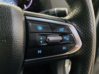 2024 Ford Territory TREND 1.8L ECOBOOST A/T - photo 18