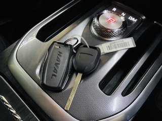 2023 Haval Jolion 1.5T PREMIUM DCT - photo 11