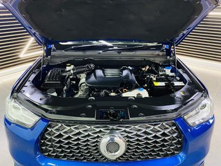 2021 Gwm Steed P-SERIES 2.0TD SX D/C P/U - photo 4