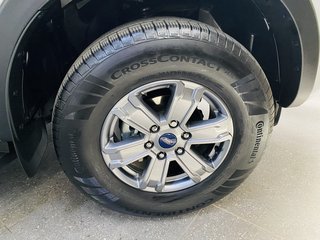 2024 Ford Ranger 2.0D XLT HR A/T D/C P/U - photo 7
