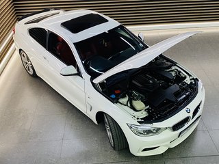 2016 BMW 4 Series 420D COUPE M SPORT A/T (F32) - photo 4