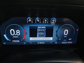 2023 Ford Everest 3.0D V6 PLATINUM AWD A/T - photo 21