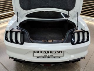 2020 Ford Mustang 5.0 GT A/T - photo 6