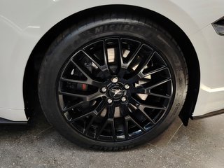 2020 Ford Mustang 5.0 GT A/T - photo 10