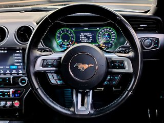 2020 Ford Mustang 5.0 GT A/T - photo 14