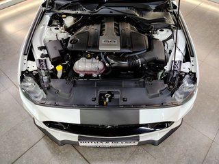 2020 Ford Mustang 5.0 GT A/T - photo 23