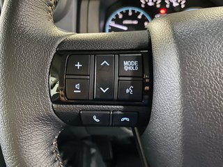 2025 Toyota Land Cruiser LAND CRUISER 79 2.8 GD-6 P/U D/C A/T - photo 12