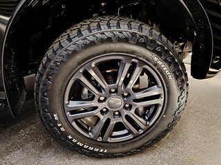 2022 Ford Ranger 2.0D BI-TURBO WILDTRAK 4X4 A/T P/U D/C - photo 9