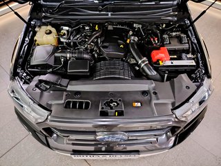 2022 Ford Ranger 2.0D BI-TURBO WILDTRAK 4X4 A/T P/U D/C - photo 23