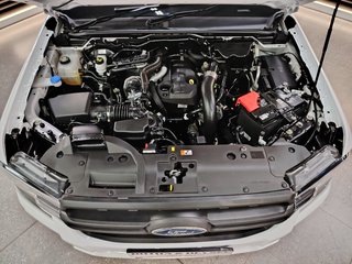 2024 Ford Ranger 2.0D XL A/T D/C P/U - photo 15