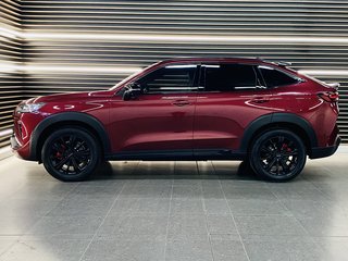 2023 Haval H6 GT 2.0T SUPER LUXURY 4X4 DCT - photo 6